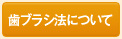 歯ブラシ法について